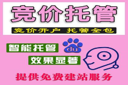 案例分享：竞价托管助力企业实现精准广告投放